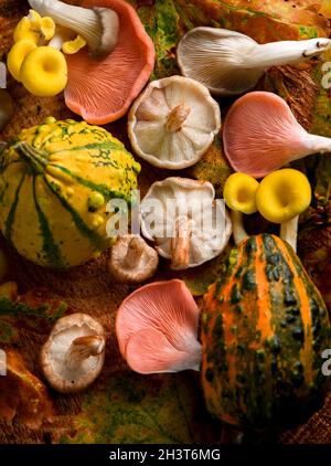 Selezione autunnale di funghi colorati e frutta sparata dall'alto in un ambiente boscoso con foglie autunnali e legno. Foto Stock