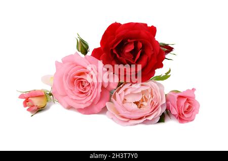 Bouquet di rose rosse e rosa isolato su sfondo bianco, bouquet festivo Foto Stock