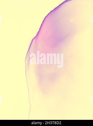 Modello di invito al matrimonio. Liquido pastello giallo Foto Stock