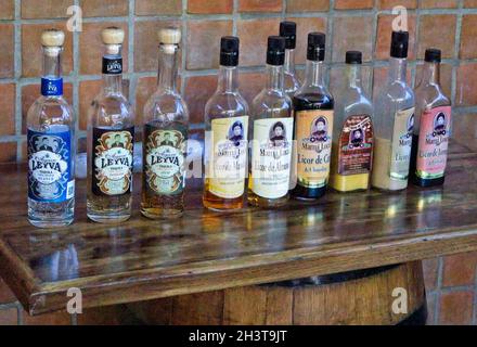 Tequila Puerto Vallarta Messico Foto Stock