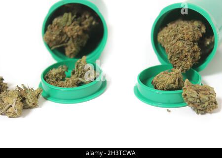 Germogli Marijuana legali e fiori di canapa CBD con foglia verde Foto Stock