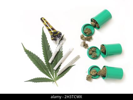 Germogli Marijuana legali e fiori di canapa CBD con foglia verde Foto Stock