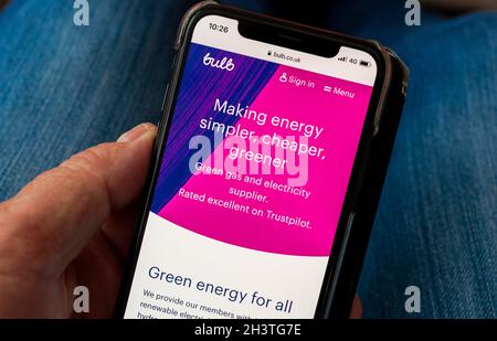 Sito Web energia lampadina visualizzato su un telefono cellulare Foto Stock