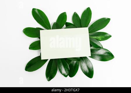 Natura tema Presentazione idee disegni, visualizzazione di materiali rinnovabili, creazione di prodotti sostenibili, materiali organici, Garde Foto Stock