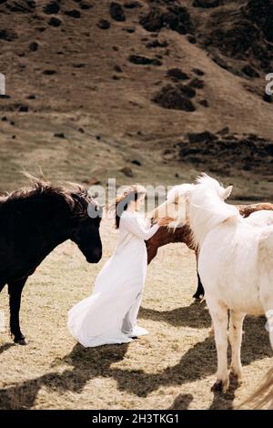 Destinazione Islanda matrimonio sessione fotografica con cavalli islandesi. Una sposa in un vestito bianco cammina tra una mandria di cavalli in un fiel Foto Stock