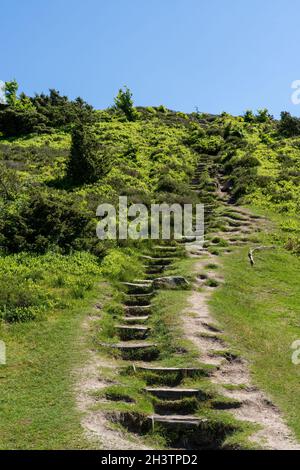 Sentiero escursionistico che conduce con gradini di legno fino alla cima di una collina nella campagna heathland Foto Stock