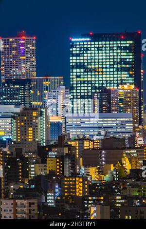 Vista notturna di Tokyo dalla piattaforma di osservazione del Centro Civico di Bunkyo Foto Stock