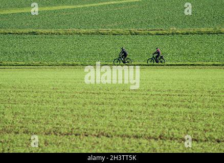 Bike Way R1, vicino a Wesertal, Weser Uplands, Weserbergland, Hesse, Germania Foto Stock