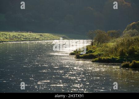 Fiume Weser nei pressi di Gewissensenruh, Wesertal, Weser Uplands, Weserbergland, Hesse, Germania Foto Stock