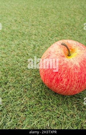 Faux mele rosse su erba sintetica. Per la coltivazione di mele nel Regno Unito, mele inglesi, industria britannica del sidro, ottobre Apple Day, prodotti britannici, uso di plastica Foto Stock