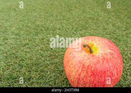 Faux mele rosse su erba sintetica. Per la coltivazione di mele nel Regno Unito, mele inglesi, industria britannica del sidro, ottobre Apple Day, prodotti britannici, uso di plastica Foto Stock