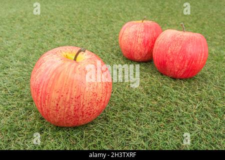 Faux mele rosse su erba sintetica. Per la coltivazione di mele nel Regno Unito, mele inglesi, industria britannica del sidro, ottobre Apple Day, prodotti britannici, uso di plastica Foto Stock