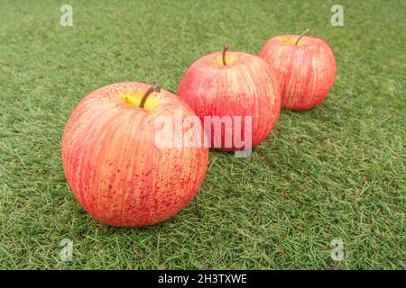 Faux mele rosse su erba sintetica. Per la coltivazione di mele nel Regno Unito, mele inglesi, industria britannica del sidro, ottobre Apple Day, prodotti britannici, uso di plastica Foto Stock