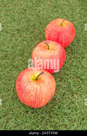 Faux mele rosse su erba sintetica. Per la coltivazione di mele nel Regno Unito, mele inglesi, industria britannica del sidro, ottobre Apple Day, prodotti britannici, uso di plastica Foto Stock