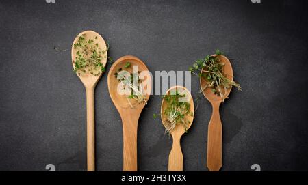 Germogli verdi di chia, rucola e senape in un cucchiaio di legno su sfondo nero, vista dall'alto Foto Stock