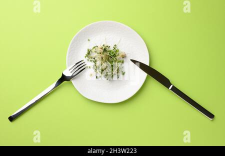 Germogli verdi di chia, rucola e senape in una piastra rotonda bianca, vista dall'alto Foto Stock