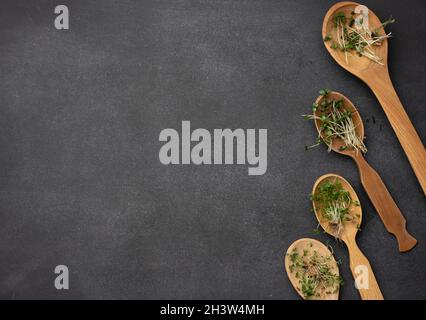 Germogli verdi di chia, rucola e senape in un cucchiaio di legno su sfondo nero, vista dall'alto Foto Stock