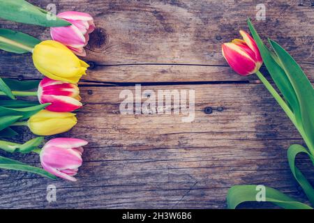 Disposizione di tulipani colorati su un rustico tavolo di legno, spazio di testo Foto Stock