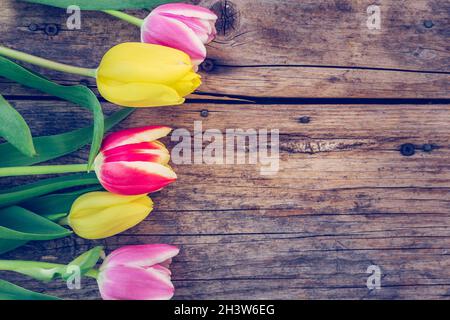 Disposizione di tulipani colorati su un rustico tavolo di legno, spazio di testo Foto Stock