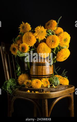 Vita morta di bei girasoli decorativi in un vaso su una sedia su sfondo nero Foto Stock