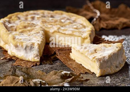 Formaggio Banon non avvolto da foglie d'uva Foto Stock