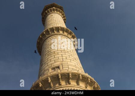 Il minareto del Taj Mahal con due uccelli Foto Stock