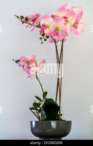 Orchidea artificiale rosa in mostra a East Grinstead Foto Stock