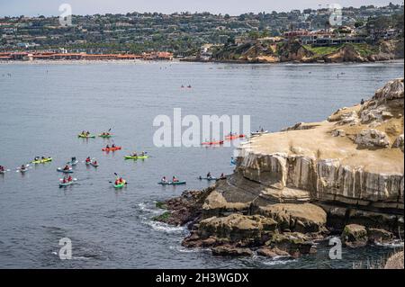 La Jolla, California, Stati Uniti d'America - 3 ottobre 2021: Gruppo di canoe colose si riuniscono vicino a scogliere rocciose dove si riposano foche e pellicani. Spiaggia con tetto rosso e. Foto Stock