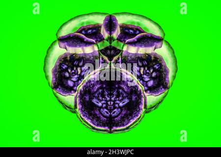 Montaggio, astratto, vibrante, simmetria, forme, Motivi, Dreamlike, sfondo verde Foto Stock