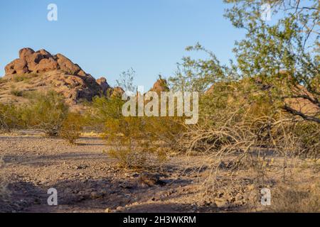 Vista delle montagne al Papago Park a Phoenix, Arizona Foto Stock