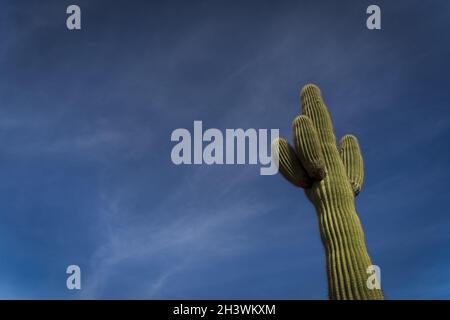 Vista delle montagne al Papago Park a Phoenix, Arizona Foto Stock