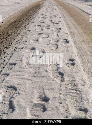 Impronte sulla neve appena caduta. Foto Stock