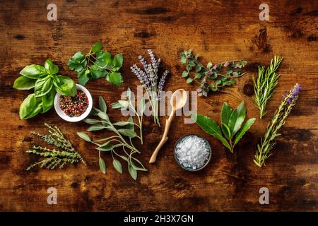 Erbe aromatiche fresche, pallini piatti con spezie Foto Stock