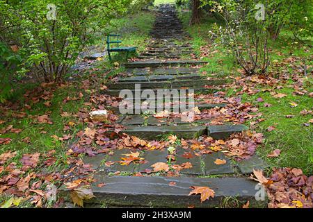 Vista ravvicinata delle scale di pietra coperte di foglie e muschi autunnali e di rami di alberi secchi in un parco Foto Stock