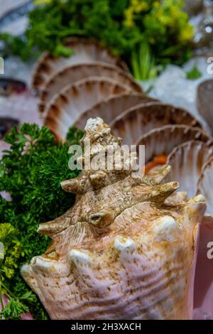 conchiglie di whelk e conchiglie con conchiglie di cuoio capelluto ad un pesce fresco pesce bancarella al mercato di quartiere a southwark london uk, crostacei, frutti di mare. Foto Stock