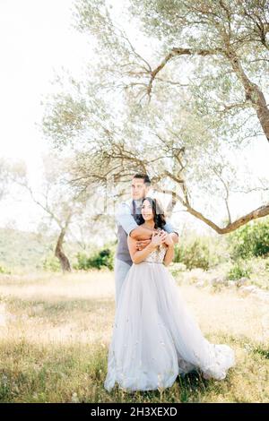 Lo sposo abbraccia delicatamente la sposa da dietro nell'oliveto Foto Stock