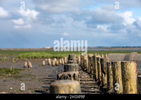 Lanung Foto Stock