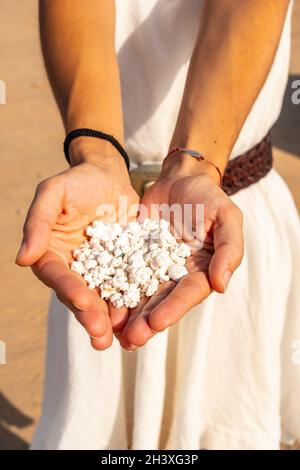 Le mani femminili che tengono piccoli scarti di corallo sulla spiaggia di Popcorn vicino alla città di Corralejo, Spagna Foto Stock