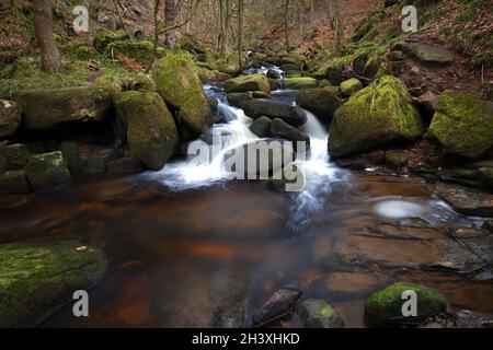 Padley Gorge acqua cascata su rocce in una piscina, Peak District National Park, Derbyshire Foto Stock