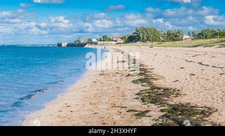 La spiaggia di la Phibie sull'isola di OlÃ©ron, in Francia Foto Stock