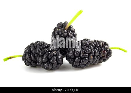 Frutta di gelso nero isolato su sfondo bianco. Bacche da vicino. Foto Stock