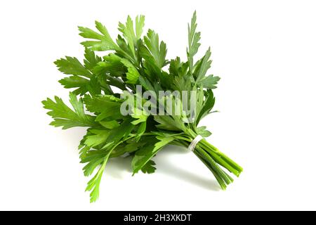 Mazzo di prezzemolo fresco verde isolato su sfondo bianco. Foto Stock