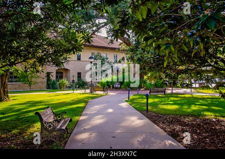 Un percorso ombreggiato conduce al John L. Borom Center of Health & Natural Science sul campus Coastal Alabama Community College di Fairhope, Alabama. Foto Stock