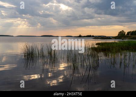 Un tramonto colorato e un'espressiva riflessione del cielo in un lago tranquillo e tranquillo con canne in primo piano Foto Stock