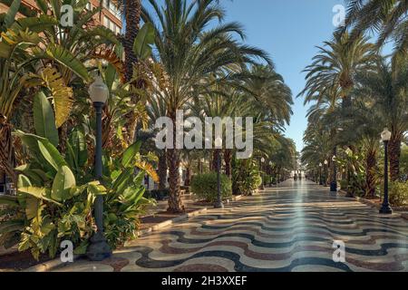 Alacant, la Explanada de España ad Alicante, Spagna con il suo design ondulato Foto Stock
