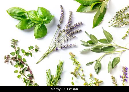 Erbe fresche, sparate dall'alto su sfondo bianco. Mazzi di erbe Foto Stock