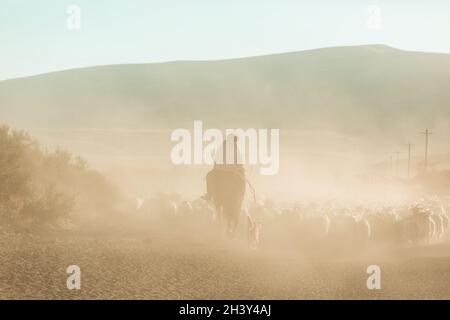 Gaucho Foto Stock