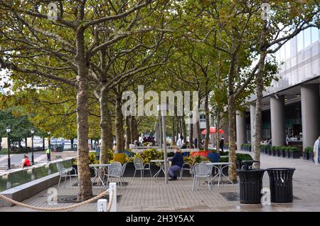 Brookfield Place di NYC ospita un'installazione interattiva di Gabe BC chiamata Memento Mori, più grande degli scheletri di vita che trasformano il Wintergarden Foto Stock