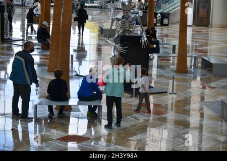 Brookfield Place di New York ospita un'installazione interattiva di Gabe BC chiamata Memento Mori, più grande degli scheletri di vita che trasformano il Wintergarden il 30 ottobre 2021. (Foto di Ryan Rahman/Pacific Press) Foto Stock