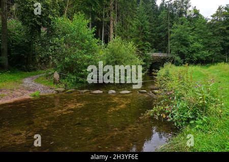 Premium sentiero escursionistico Der Teinacher nel nord della Foresta Nera intorno a Bad Teinach, il Diavolo's Fr Foto Stock